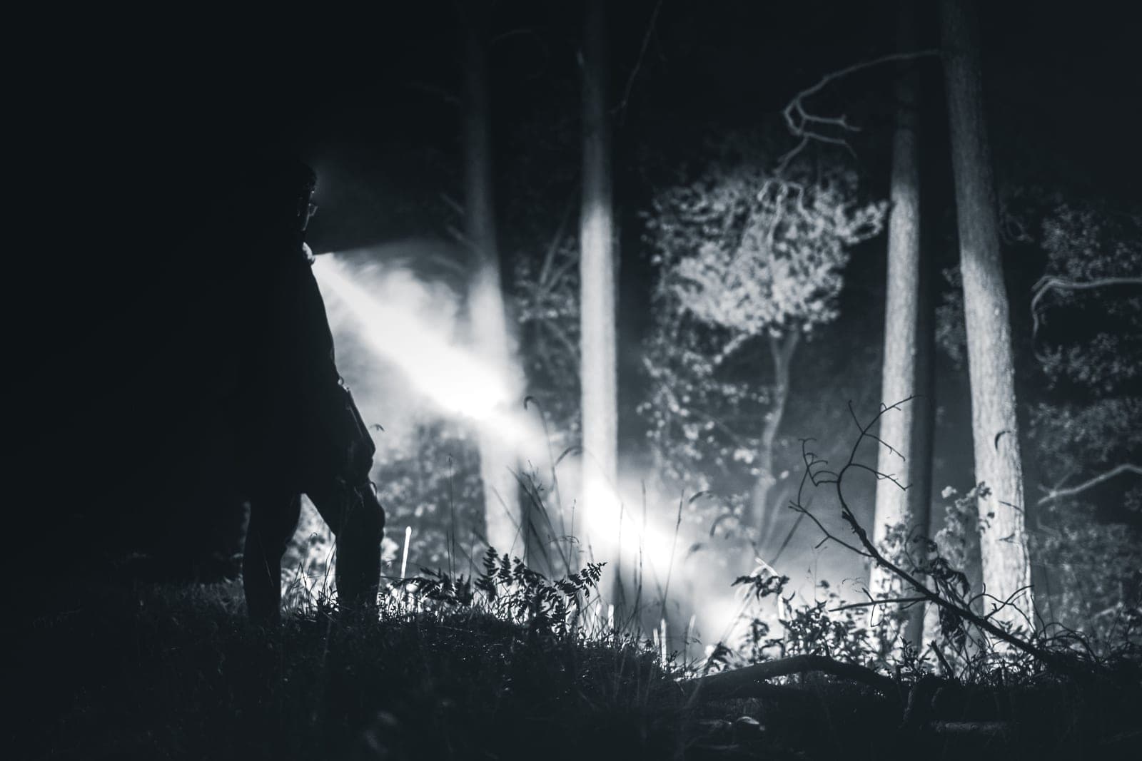A flashlight beam cutting through trees on a dark night